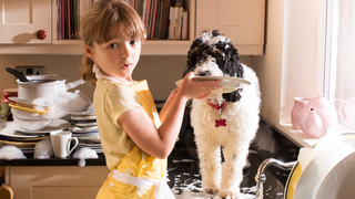 Last Call: How can pets contribute to household chores?